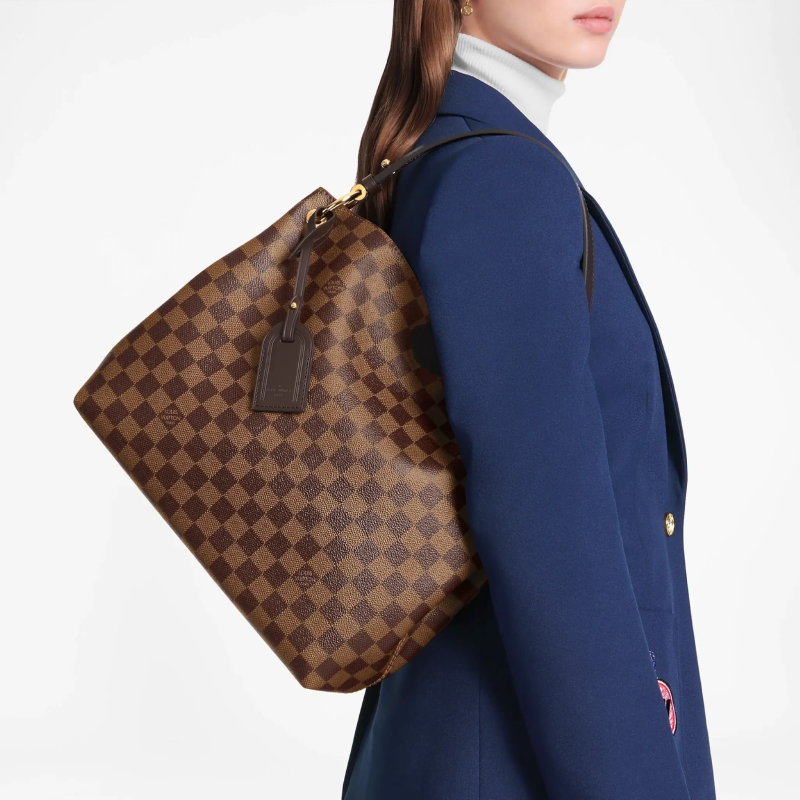 louis-vuitton-graceful-pm-damier-ebene-handbags--N44044_PM1_Worn-view.webp