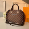 LOUIS VUITTON-N53151 루이비통 다미에 에벤 알마 PM