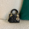 DIOR-LADY DIOR 마이크로 백 S0856ONGE_M900